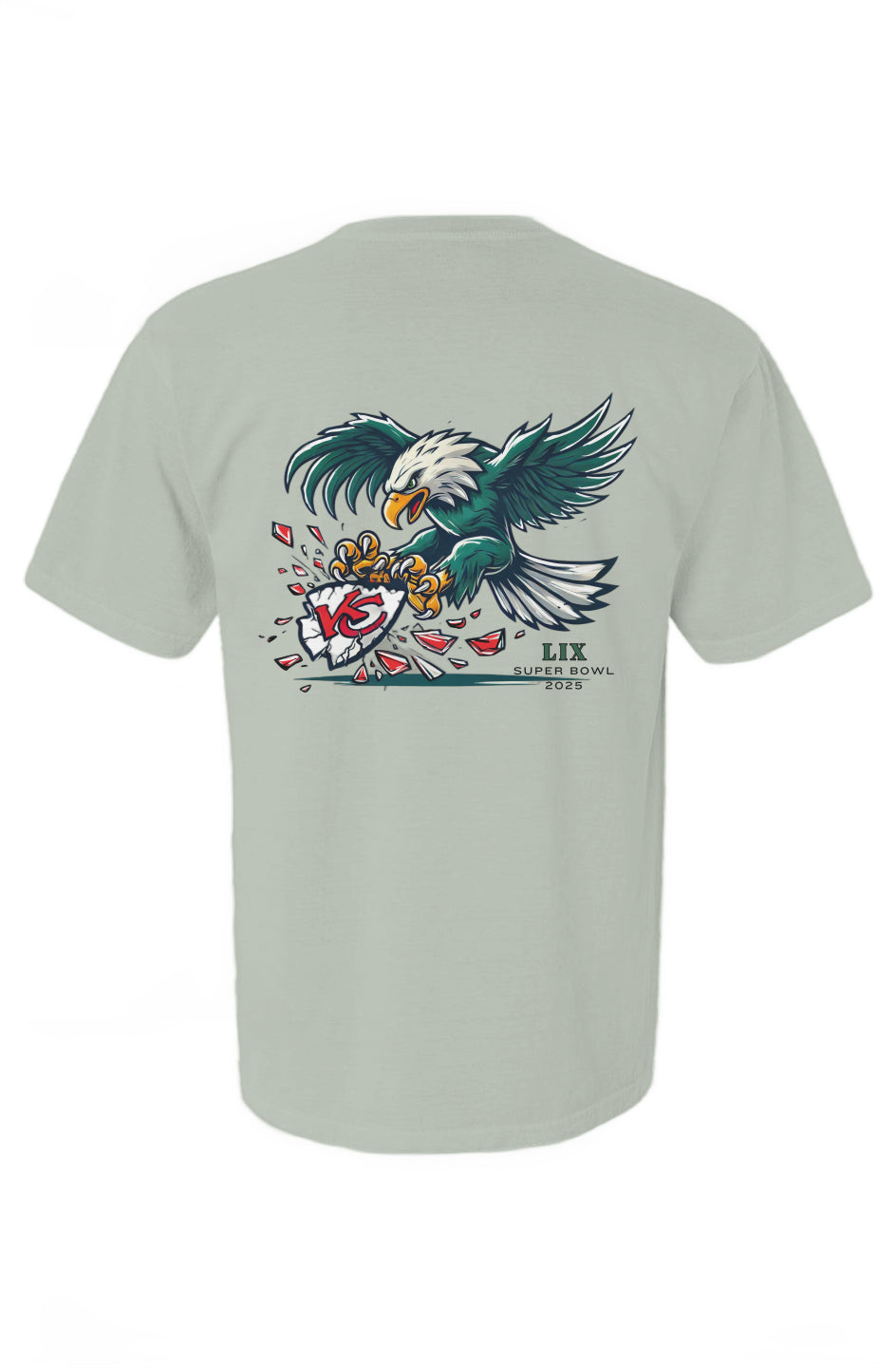 Super Bowl 2025 Comfort Colors T Shirt